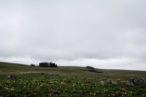 Près du buron de Pendouliou de Ramel Près du buron de Pendouliou de Ramel