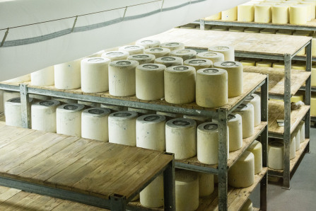 Coopérative fromagère La Jeune Montagne Coopérative fromagère La Jeune Montagne
