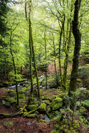 Randonnée de la cascade du Dévez Randonnée de la cascade du Dévez