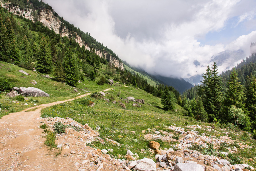 Sentier dans la vallée de Chavière (juin 2017)