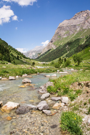 Sentier dans la vallée de Chavière (juin 2017)