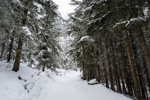 Sentier de la Corniche (janvier 2021)
