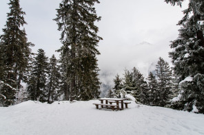 Sentier de la Corniche (janvier 2021)