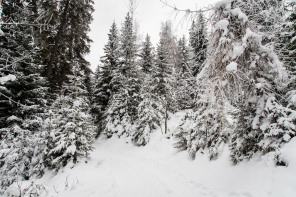 Sentier de la Corniche (janvier 2021)