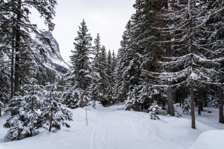 Randonnée du refuge des Barmettes à Pralognan