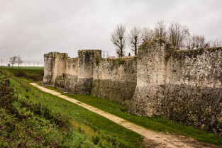 Provins