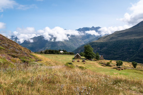 Plateau de Saugué Plateau de Saugué