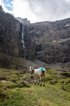 Randonnée du cirque de Gavarnie Randonnée du cirque de Gavarnie