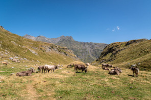 Randonnée du lac de la Bernatoire Randonnée du lac de la Bernatoire