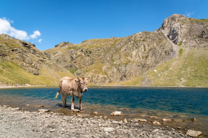 Randonnée du lac de la Bernatoire Randonnée du lac de la Bernatoire