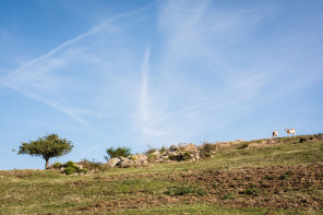 Randonnée du serre de Lès Randonnée du serre de Lès