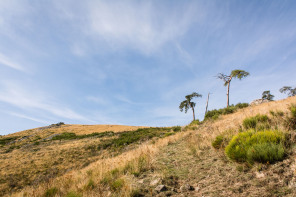 Randonnée du serre de Lès Randonnée du serre de Lès
