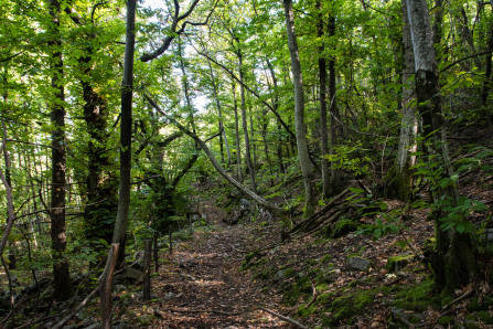 Randonnée du serre de Lès Randonnée du serre de Lès