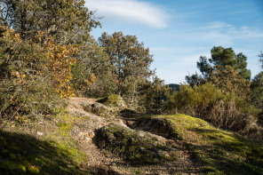 Randonnée du serre du Magnon Randonnée du serre du Magnon