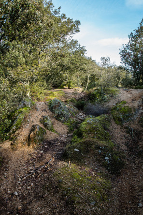 Randonnée du serre du Magnon Randonnée du serre du Magnon