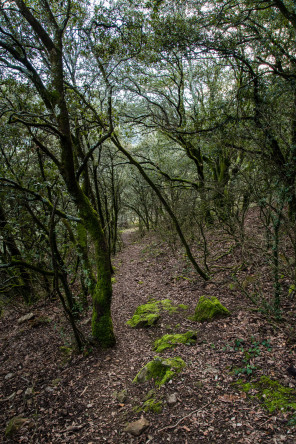 Randonnée du serre du Magnon Randonnée du serre du Magnon