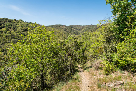 Randonnée du serre des Girodins Randonnée du serre des Girodins