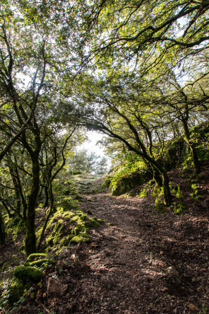 Randonnée du tour de La Dunière Randonnée du tour de La Dunière