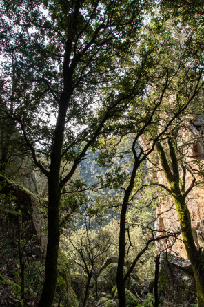 Randonnée du tour de La Dunière Randonnée du tour de La Dunière