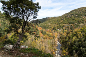 Randonnée du tour de La Dunière Randonnée du tour de La Dunière