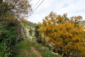 Randonnée du tour de La Dunière Randonnée du tour de La Dunière