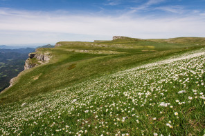 Randonnée de Font d'Urle au printemps Randonnée de Font d'Urle au printemps