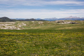 Randonnée de Font d'Urle au printemps Randonnée de Font d'Urle au printemps