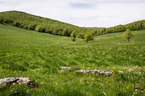 Randonnée du plateau d'Ambel Randonnée du plateau d'Ambel