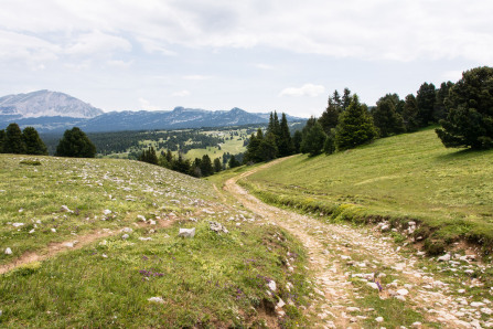 Trek autour des Hauts Plateaux – Entre le chalet des Ours et le pas des Econdus Trek autour des Hauts Plateaux – Entre le chalet des Ours et le pas des Econdus