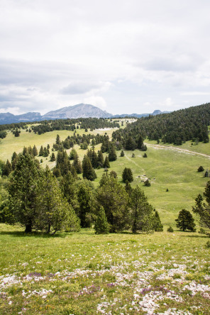 Trek autour des Hauts Plateaux – Entre le chalet des Ours et le pas des Econdus Trek autour des Hauts Plateaux – Entre le chalet des Ours et le pas des Econdus