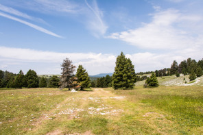 Trek autour des Hauts Plateaux – Entre le pas des Econdus et la cabane de Pré-Peyret Trek autour des Hauts Plateaux – Entre le pas des Econdus et la cabane de Pré-Peyret