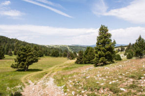 Trek autour des Hauts Plateaux – Entre le pas des Econdus et la cabane de Pré-Peyret Trek autour des Hauts Plateaux – Entre le pas des Econdus et la cabane de Pré-Peyret