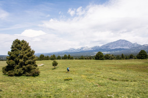Trek autour des Hauts Plateaux – Entre le pas des Econdus et la cabane de Pré-Peyret Trek autour des Hauts Plateaux – Entre le pas des Econdus et la cabane de Pré-Peyret