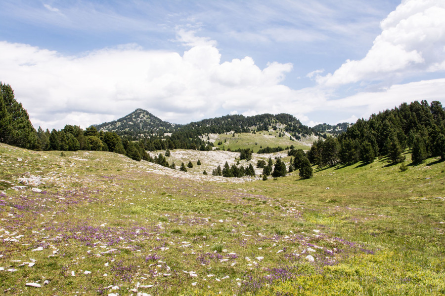 Trek autour des Hauts Plateaux – Entre le pas des Econdus et la cabane de Pré-Peyret Trek autour des Hauts Plateaux – Entre le pas des Econdus et la cabane de Pré-Peyret