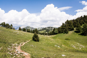 Trek autour des Hauts Plateaux – Entre le pas de Chabrinel et le Pison Trek autour des Hauts Plateaux – Entre le pas de Chabrinel et le Pison