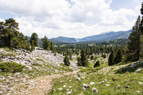 Trek autour des Hauts Plateaux – Col du Pison Trek autour des Hauts Plateaux – Col du Pison