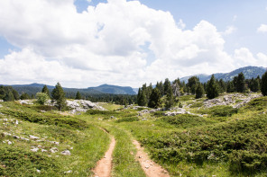 Trek autour des Hauts Plateaux – Entre le col du Pison et la fontaine des Bachassons Trek autour des Hauts Plateaux – Entre le col du Pison et la fontaine des Bachassons