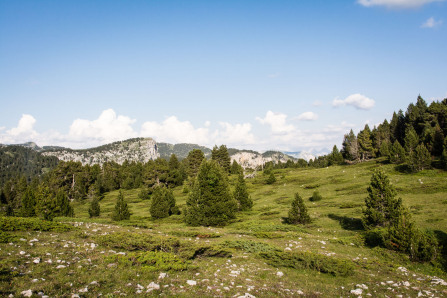 Trek autour des Hauts Plateaux – Bivouac au Petit Jardin Trek autour des Hauts Plateaux – Bivouac au Petit Jardin