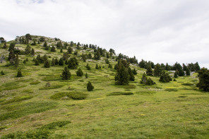 Trek autour des Hauts Plateaux – Tête du Petit Jardin Trek autour des Hauts Plateaux – Tête du Petit Jardin