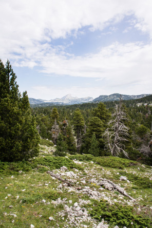 Trek autour des Hauts Plateaux – Entre la Tête du Petit Jardin et la Tête du Peyssé Trek autour des Hauts Plateaux – Entre la Tête du Petit Jardin et la Tête du Peyssé