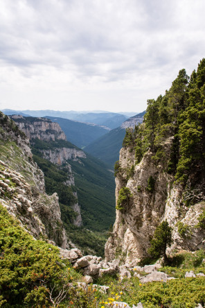 Trek autour des Hauts Plateaux – Entre la Tête du Petit Jardin et la Tête du Peyssé Trek autour des Hauts Plateaux – Entre la Tête du Petit Jardin et la Tête du Peyssé
