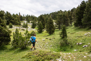 Trek autour des Hauts Plateaux – Entre la tête du Peyssé et la bergerie du Jardin Roi Trek autour des Hauts Plateaux – Entre la tête du Peyssé et la bergerie du Jardin Roi