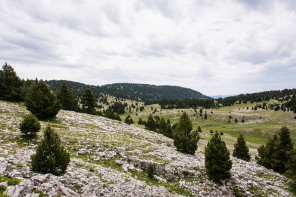 Trek autour des Hauts Plateaux – Entre la tête du Peyssé et la bergerie du Jardin Roi Trek autour des Hauts Plateaux – Entre la tête du Peyssé et la bergerie du Jardin Roi