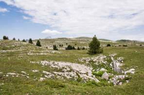 Trek autour des Hauts Plateaux – Entre la bergerie du Jardin Roi et le pied de la Montagnette Trek autour des Hauts Plateaux – Entre la bergerie du Jardin Roi et le pied de la Montagnette