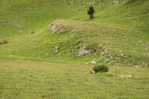 Trek autour des Hauts Plateaux – Plaine de la Queyrie Trek autour des Hauts Plateaux – Plaine de la Queyrie