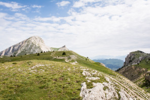 Trek autour des Hauts Plateaux – Le Grand Veymont depuis Montaveilla Trek autour des Hauts Plateaux – Le Grand Veymont depuis Montaveilla