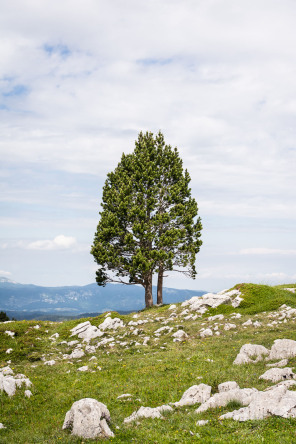 Trek autour des Hauts Plateaux – Pas des Chattons Trek autour des Hauts Plateaux – Pas des Chattons