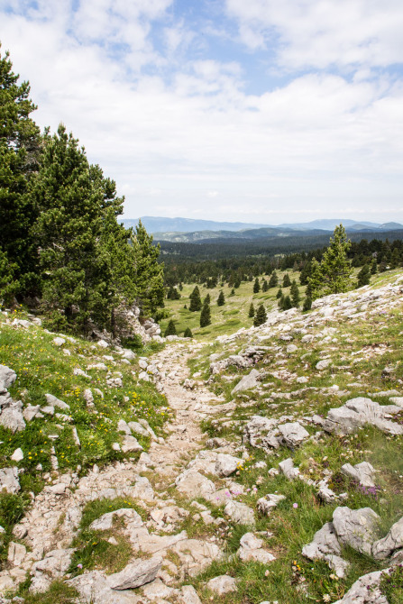 Trek autour des Hauts Plateaux – Entre le pas des Chattons et la Grande Cabane Trek autour des Hauts Plateaux – Entre le pas des Chattons et la Grande Cabane