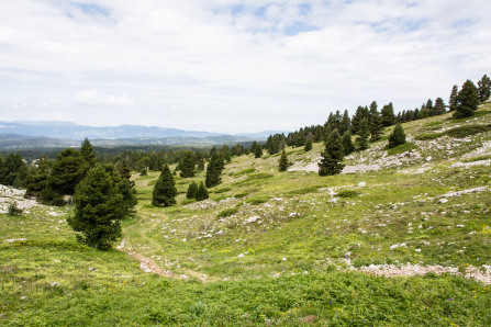 Trek autour des Hauts Plateaux – Entre le pas des Chattons et la Grande Cabane Trek autour des Hauts Plateaux – Entre le pas des Chattons et la Grande Cabane