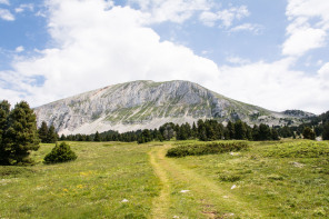 Trek autour des Hauts Plateaux – Entre le pas des Chattons et la Grande Cabane Trek autour des Hauts Plateaux – Entre le pas des Chattons et la Grande Cabane